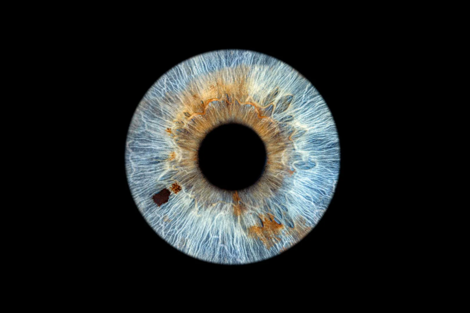 Iris preview