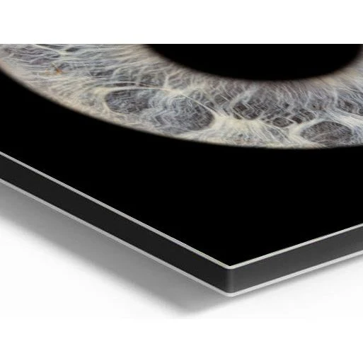 Metal Print