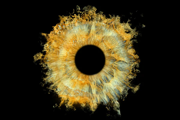 Fire Effect
