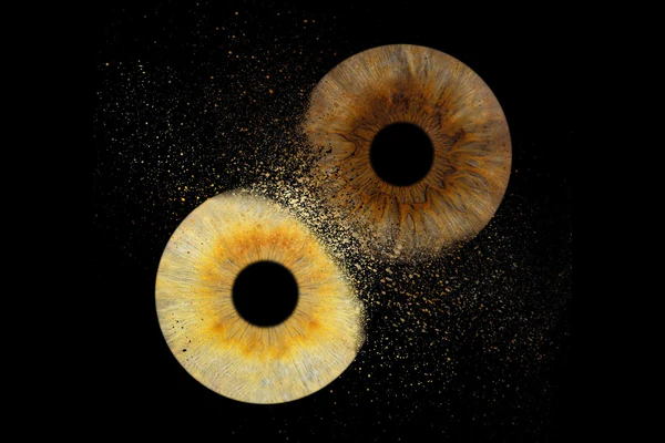 Fusion Effect