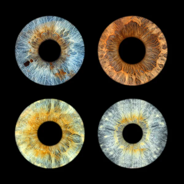 Complete Square Layout for 4 irises