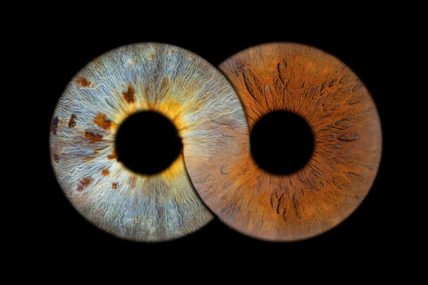 Infinity Layout for 2 irises