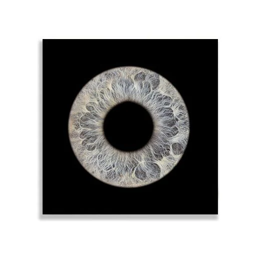 Metal framed iris art on wall