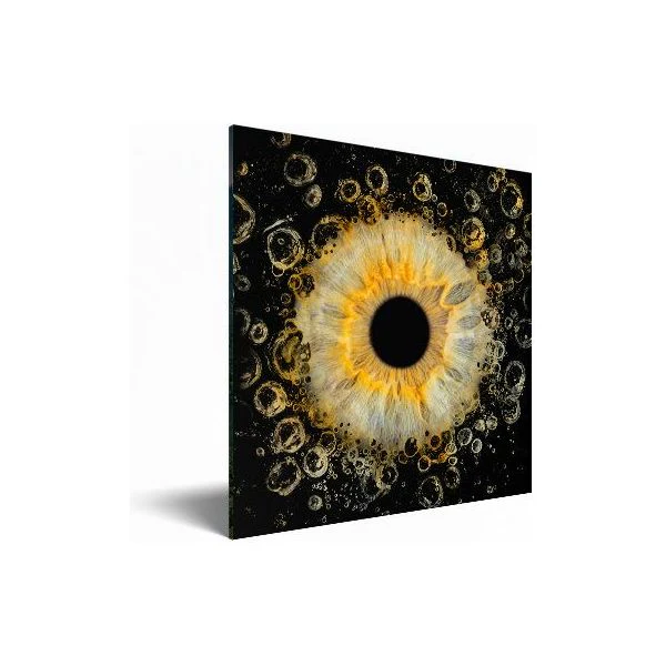 Acrylic framed iris art on wall